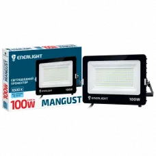 Прожектор светодиодный 100Вт 6500K ENERLIGHT MANGUST