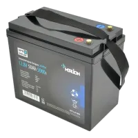 Акумуляторна батарея Merlion LiFePO4 12.8V 50AH